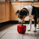 Um cachorro cheira ansiosamente um pimentão vermelho no chão da cozinha