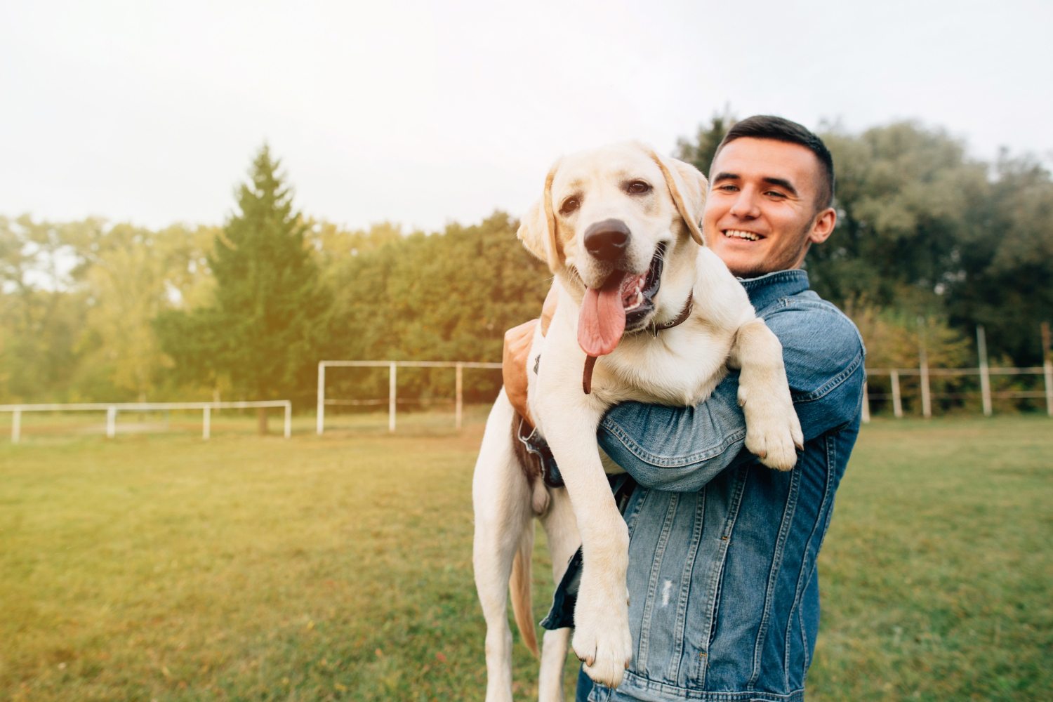 A evolução dos serviços para pets