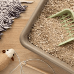 Como integrar a caixa de areia do gato na decoração da casa?
