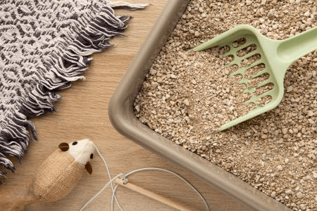 Como integrar a caixa de areia do gato na decoração da casa?